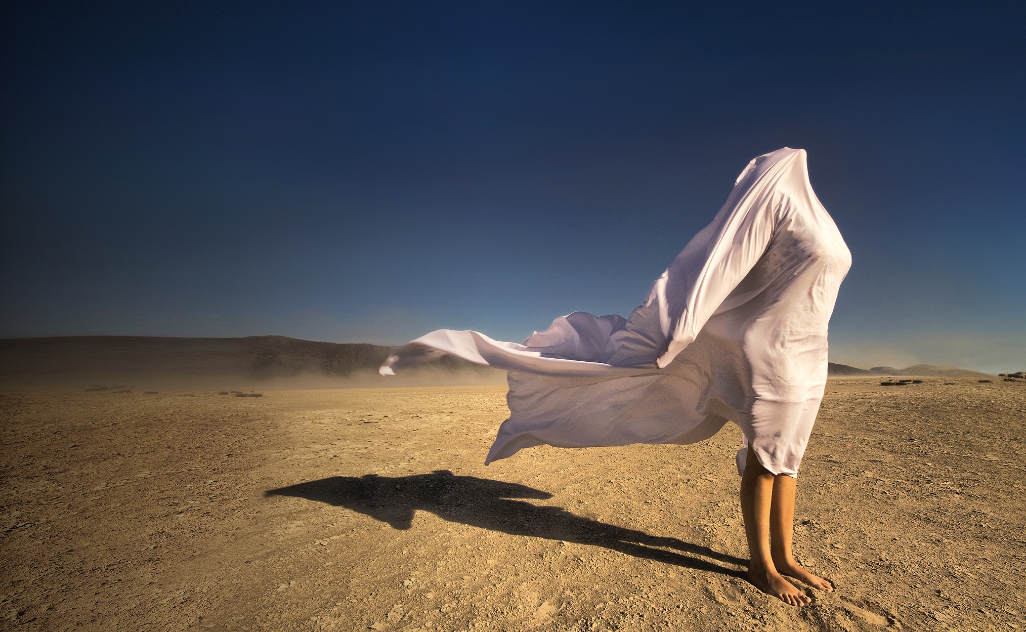 section 2 mobile image