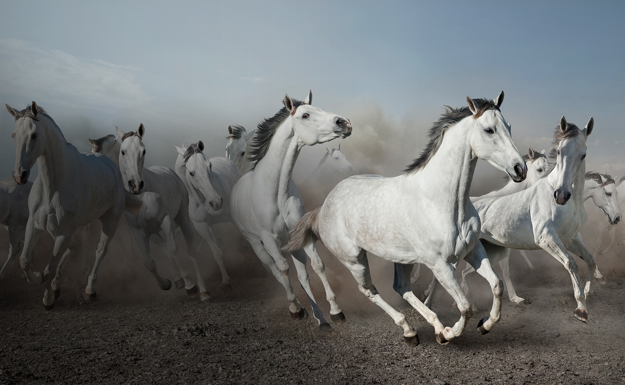 section 6 mobile image